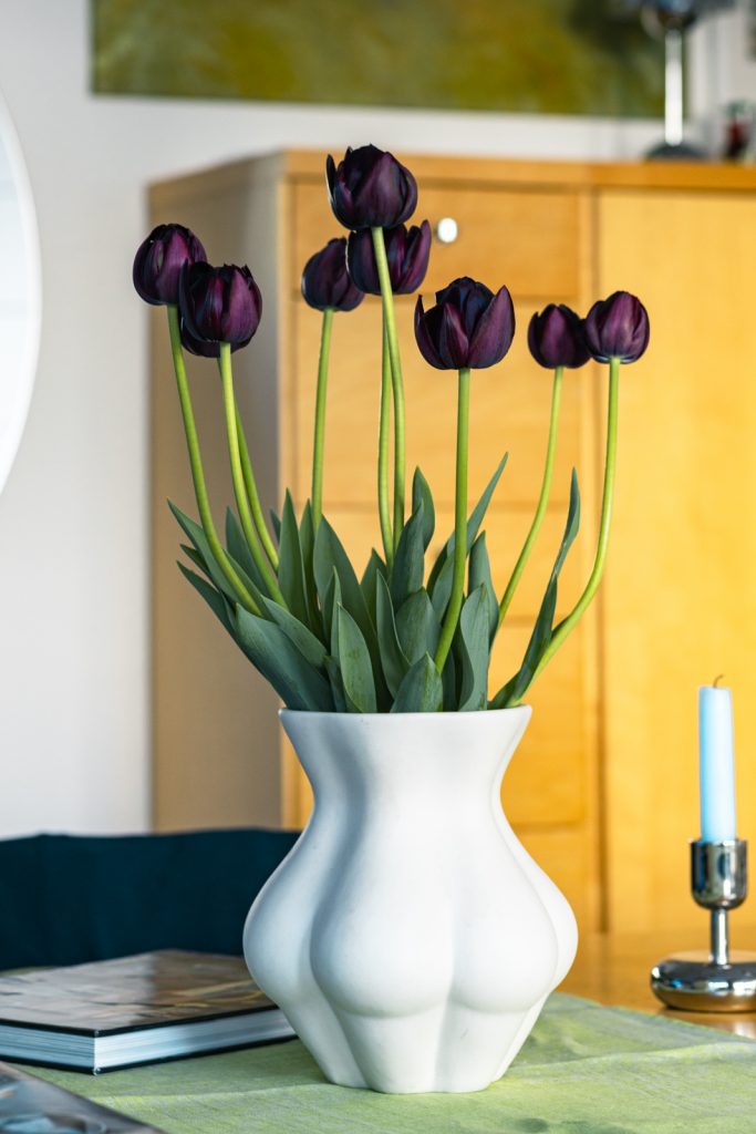 Sandra Dirks - Veri peri und andere Violette Farbtöne schwarze Tulpen